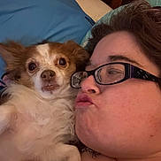 Carl is registered to the contest to win money with this photo: person, dog, glasses, bed, pillow, close_up, indoor, animal, pet, cute, face, fur, expression, resting, head, human, affection, love, comfort, cuddle