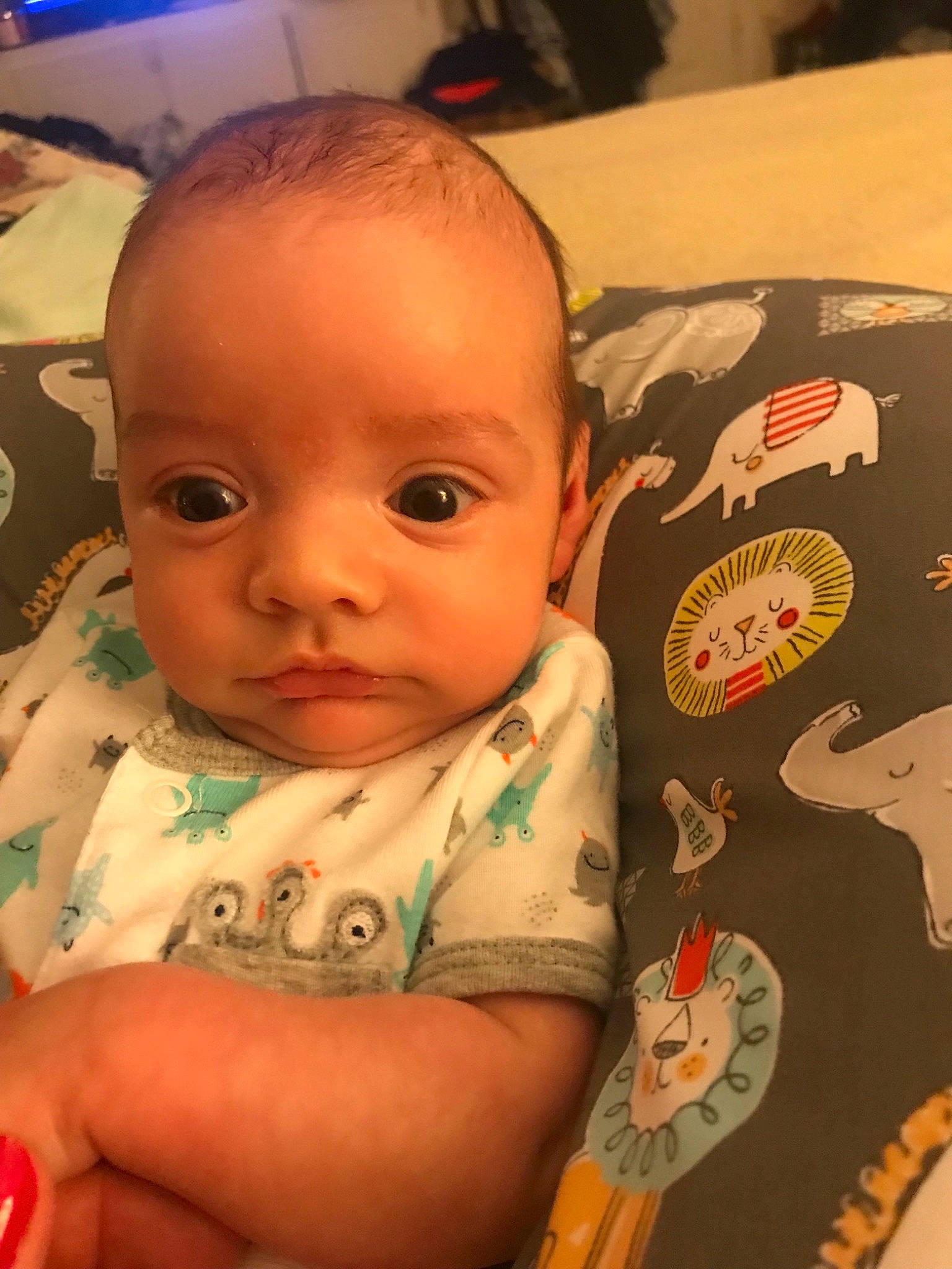 Solomon is registered to the contest to win money with this photo: