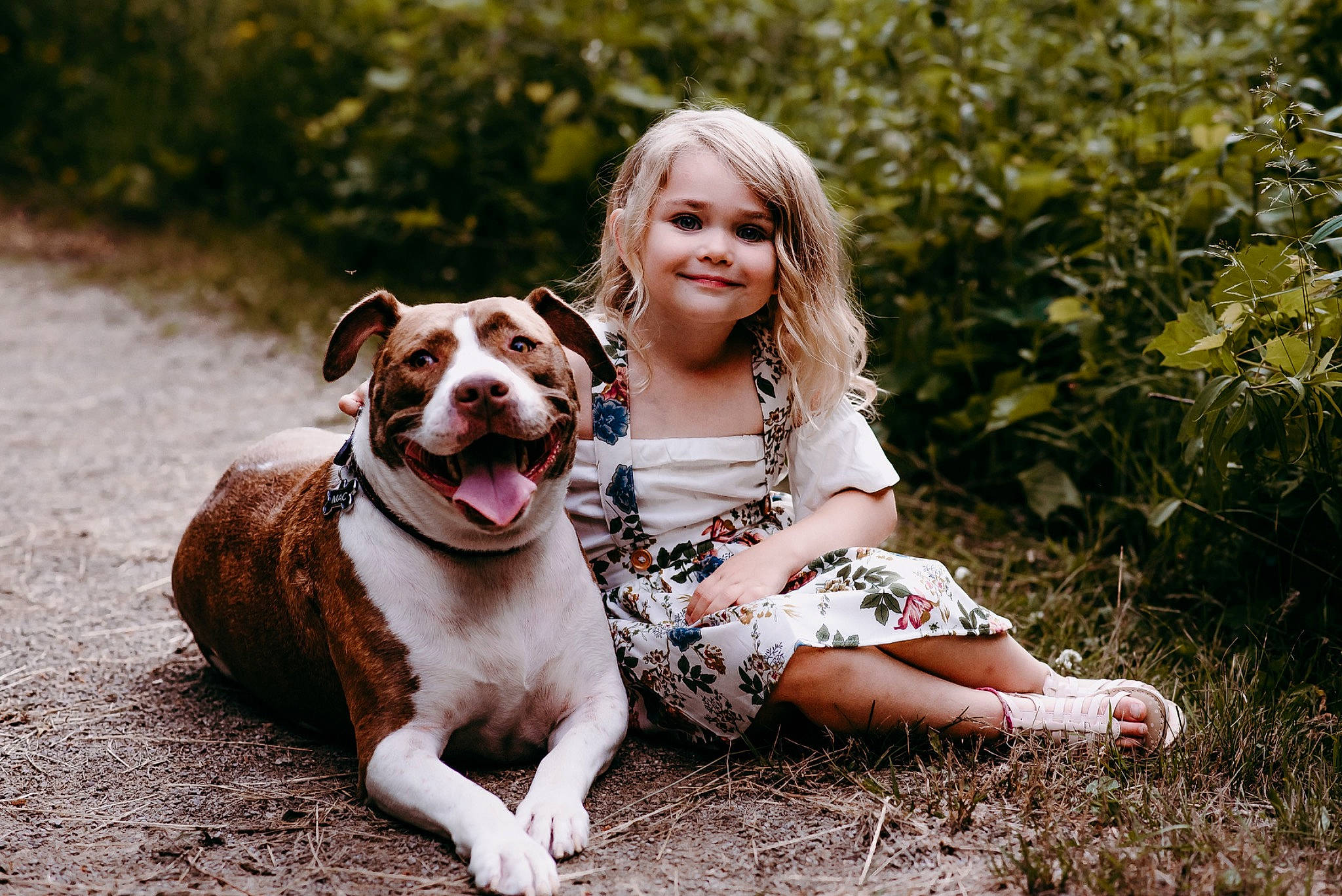 Mac joined the competition — help win amazing prizes! american_bulldog, american_pit_bull_terrier, american_staffordshire_terrier, canidae, carnivore, child, companion_dog, dog, dog_breed, fawn, grass, happy, mammal, non_sporting_group, photography, pit_bull, portrait_photography, sitting, smile, sporting_group