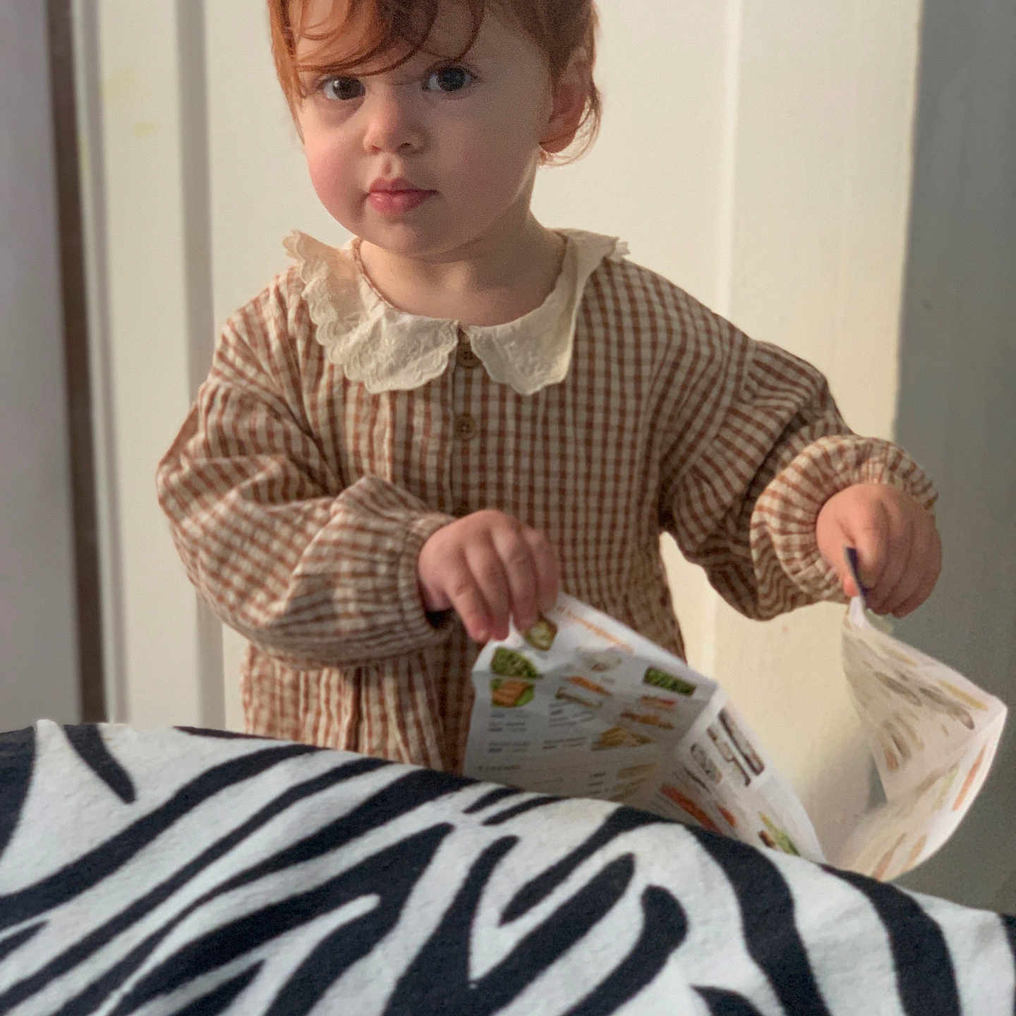 Kato a rejoint le concours — aidez-le/la à gagner de superbes lots ! animal, baby, bodypart, clothing, couch, face, finger, furniture, hand, head, indoors, longsleeve, money, person, photography, portrait, sitting, sleeve, text, zebra