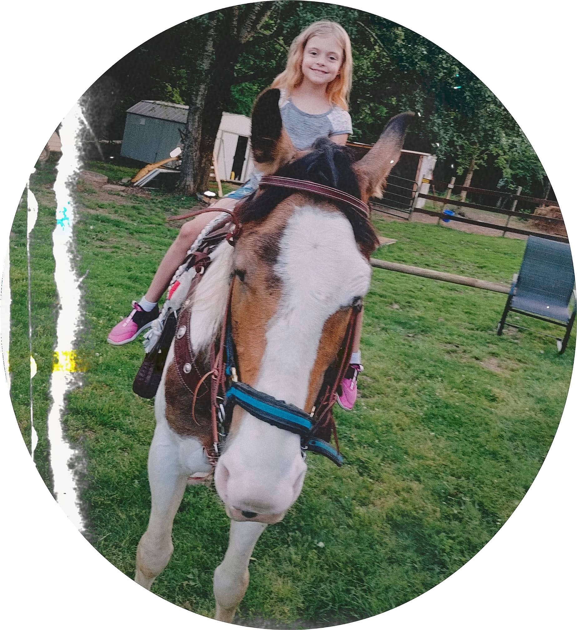 Love joined the competition — help win amazing prizes! bridle, companion_dog, equestrianism, fawn, grass, halter, horse, horse_supplies, horse_tack, jacket, joy, leash, liver, livestock, mane, outerwear, pack_animal, person, rein, saddle