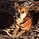 Rosco