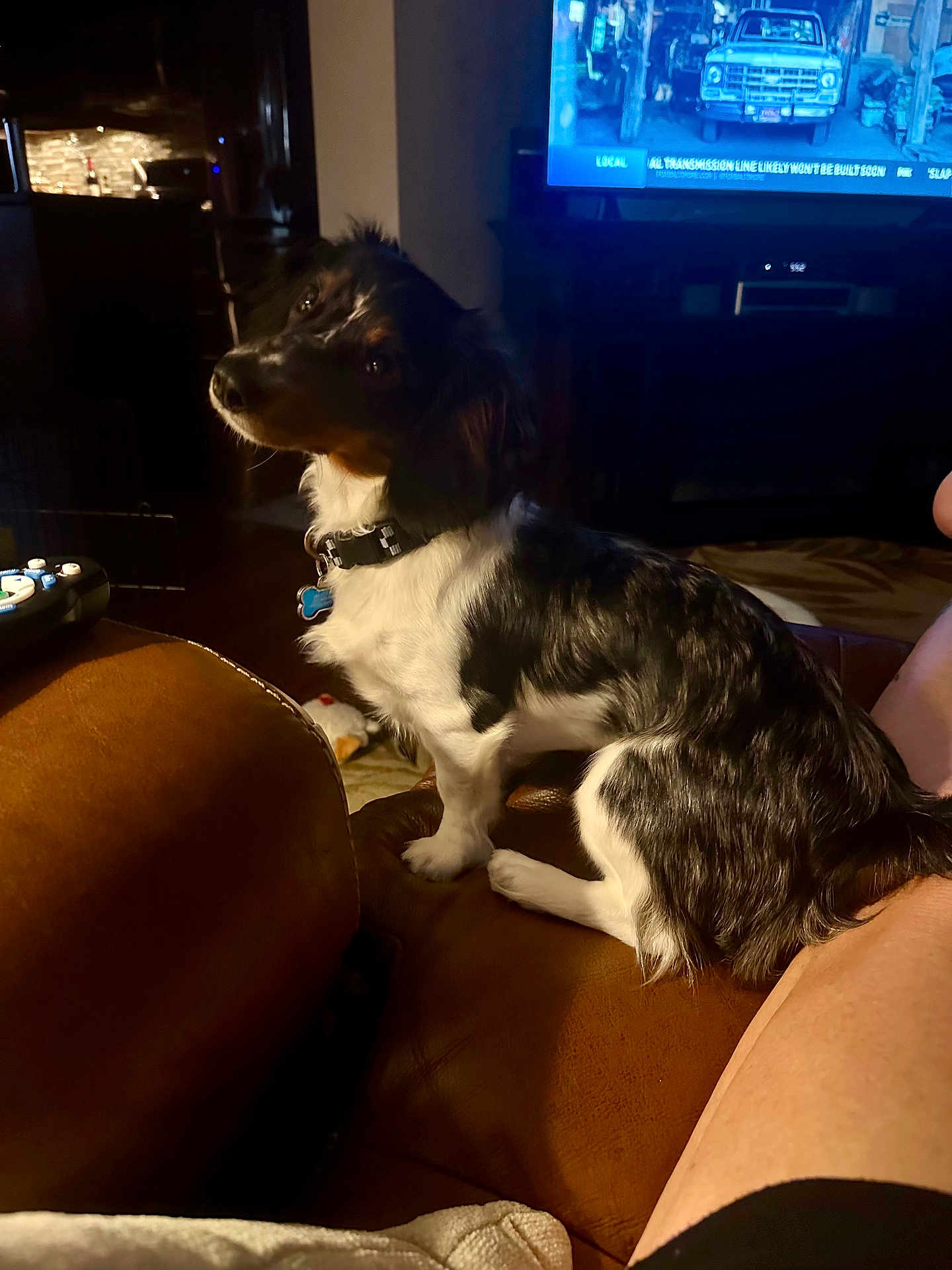 Grady