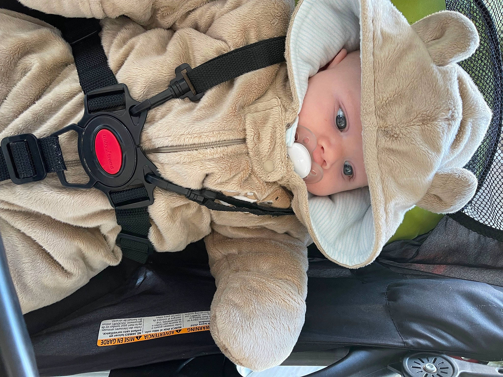 Astrid is registered to the contest to win money with this photo: baby, baby_carriage, baby_products, baby_safety, baby_sleeping, baby_toddler_clothing, beanie, carmine, cheek, child, comfort, eye, face, hat, head, headgear, headwear, linens, person, stuffed_toy