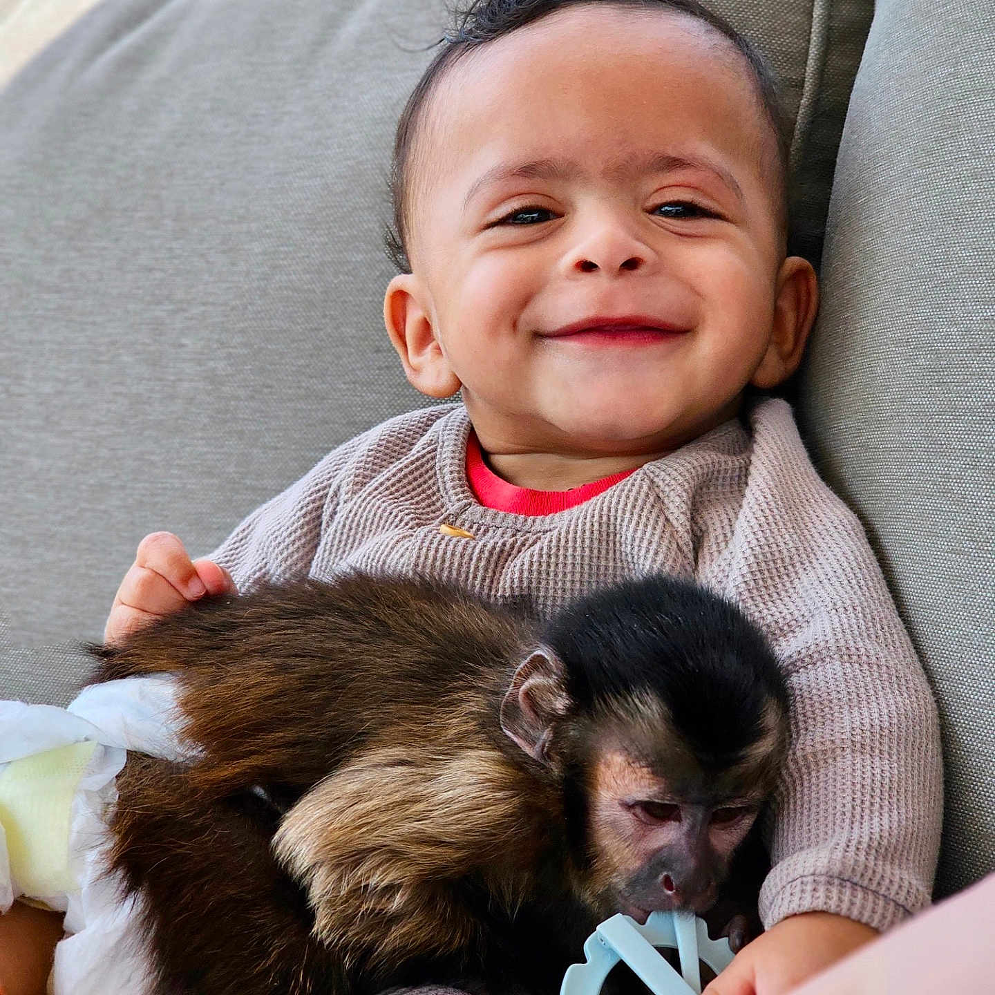 Cleo is registered to the contest to win money with this photo: animal, baby, canine, chair, clothing, couch, cushion, face, furniture, grass, happy, head, homedecor, laughing, person, photography, plant, portrait, smile, t_shirt