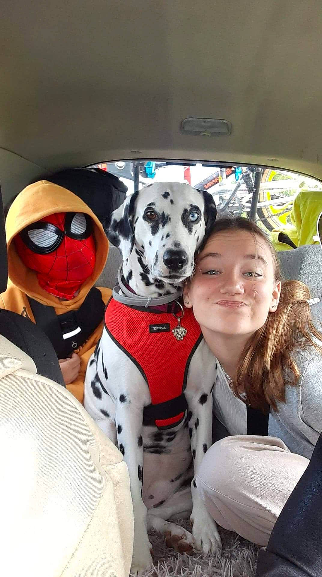 Opiume participe au concours pour gagner de l'argent avec cette photo : canidae, carnivore, companion_dog, costume, dalmatian, dog, dog_breed, event, eyewear, fawn, fur, happy, outerwear, personal_protective_equipment, recreation, selfie, smile, snout, sporting_group, t_shirt