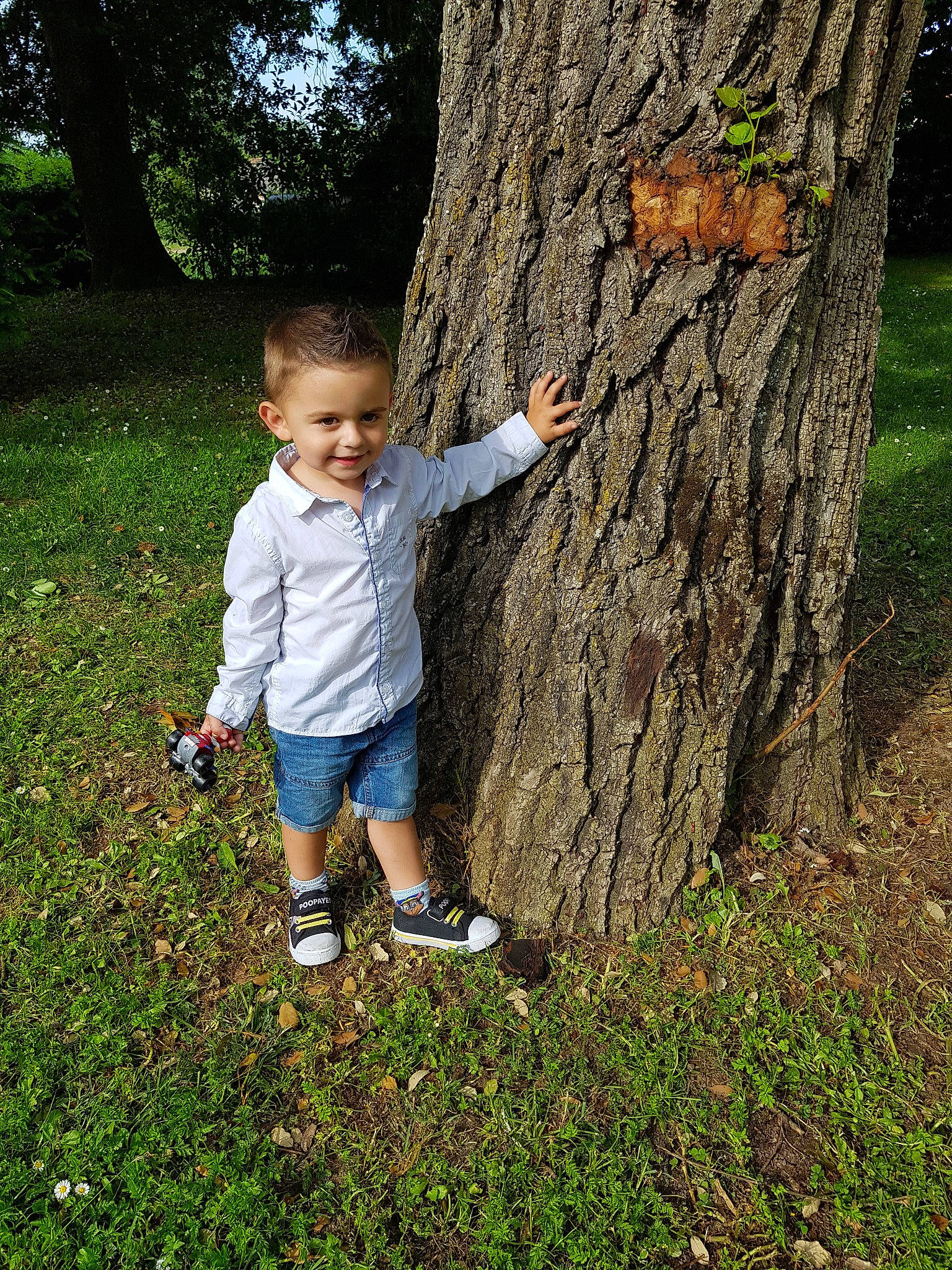 Louka a rejoint le concours — aidez-le/la à gagner de superbes lots ! branch, child, grass, happy, joy, leaf, people_in_nature, person, photography, plant, play, smile, spring, standing, toddler, tree, trunk, woody_plant