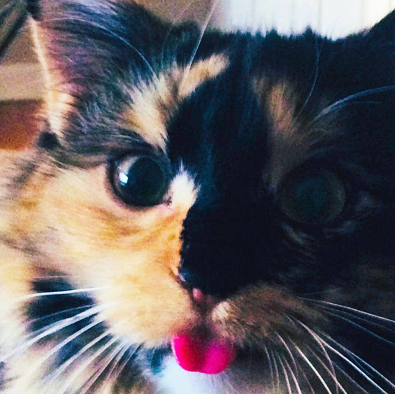 Pebbles