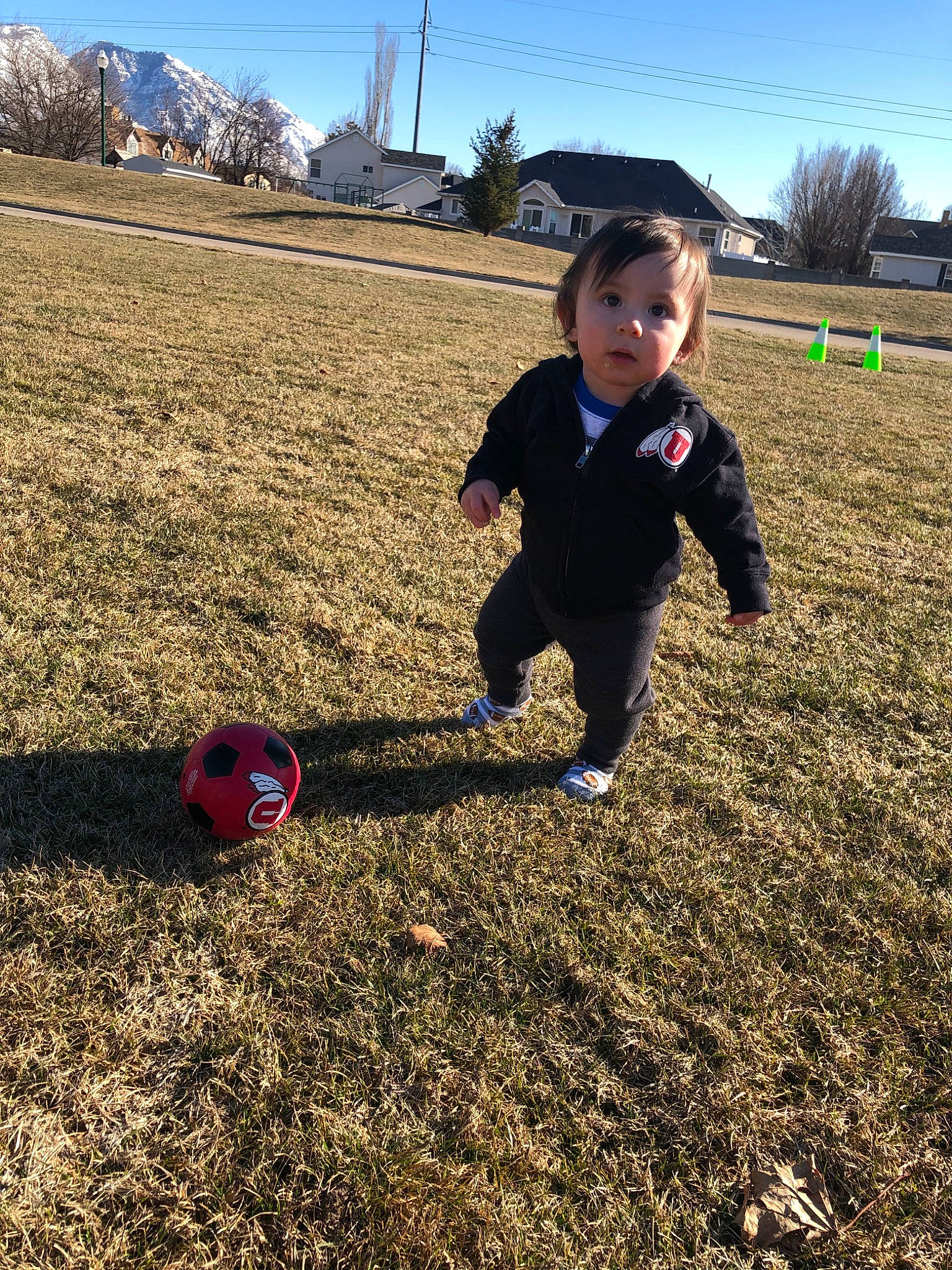 Emilio joined the competition — help win amazing prizes! child, fun, grass, grassland, person, plant, play, soil, tree