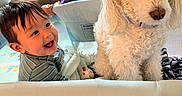 Maverick is registered to the contest to win money with this photo: baby, dog, playpen, indoor, smile, curly_hair, furniture, pet, happy, child, toy, blanket, leisure, living_room, couch, person, canine, cute, playful, domestic_animal