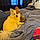 Scooby