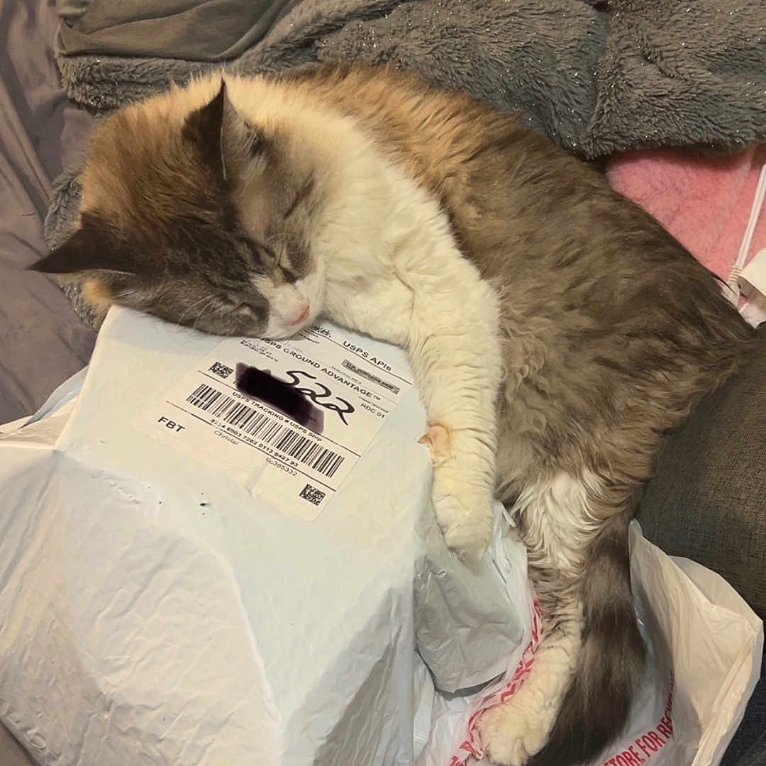 Simba