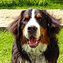 Heefy participe au concours pour gagner de l'argent avec cette photo :