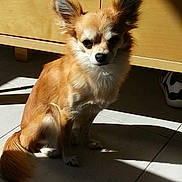 Bella participe au concours pour gagner de l'argent avec cette photo :