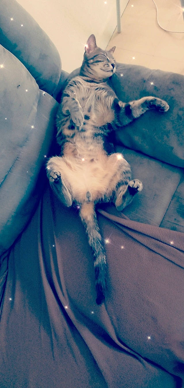 Philou participe au concours pour gagner de l'argent avec cette photo : art, blue, sculpture, sky, snow_angel, statue, water