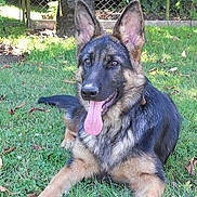 Elsa participe au concours pour gagner de l'argent avec cette photo :