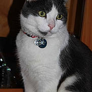 Bounty participe au concours pour gagner de l'argent avec cette photo :