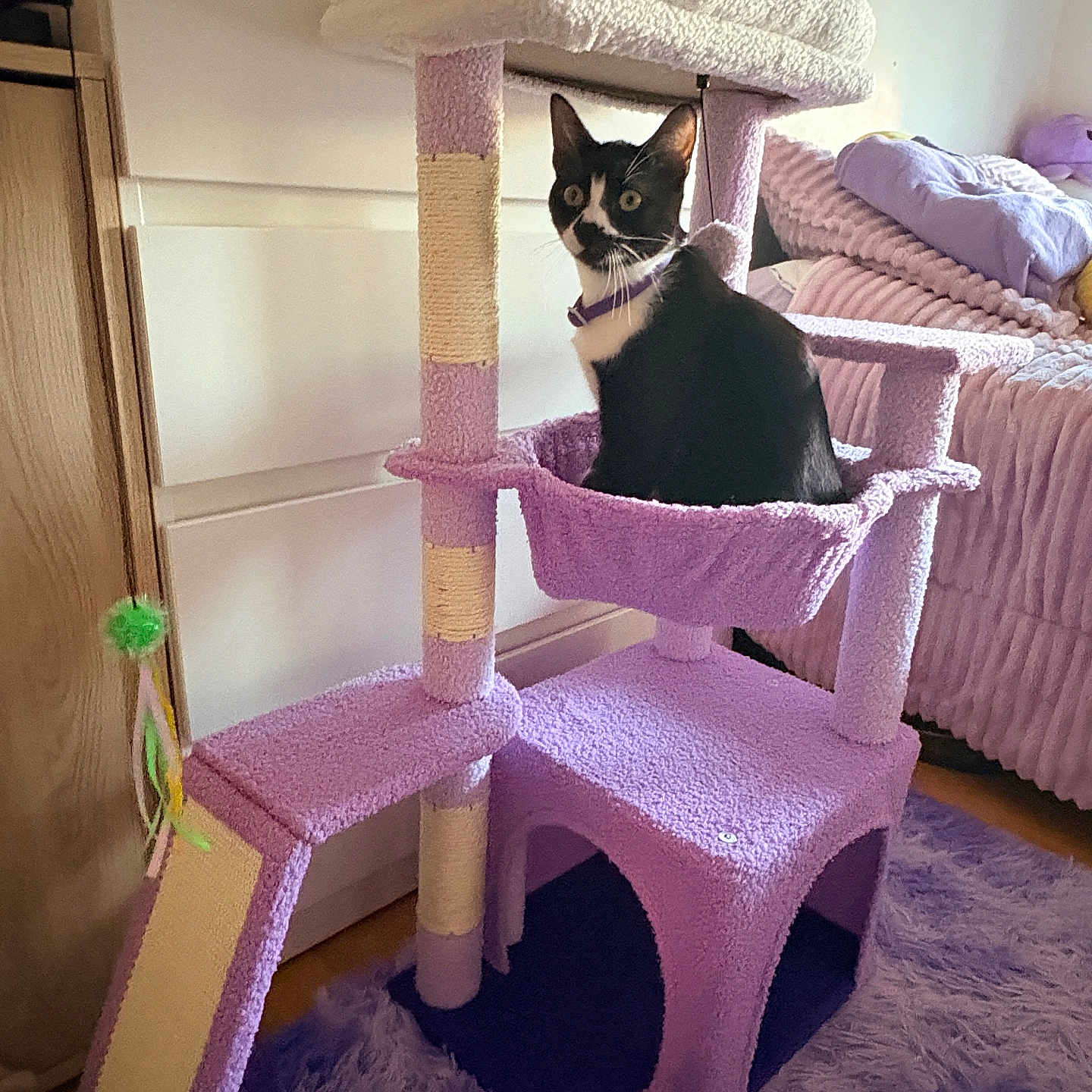 Luna