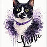Luna a rejoint le concours — aidez-le/la à gagner de superbes lots ! cat, watercolor, painting, purple, collar, black_and_white, portrait, art, illustration, animal, pet, face, whiskers, eyes, fur, background, name, signature, design, creative