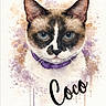 cat, watercolor, painting, art, portrait, purple_collar, animal, illustration, face, blue_eyes, fur, expression, whiskers, background, splatter, colorful, decorative, text_overlay, name, stylized