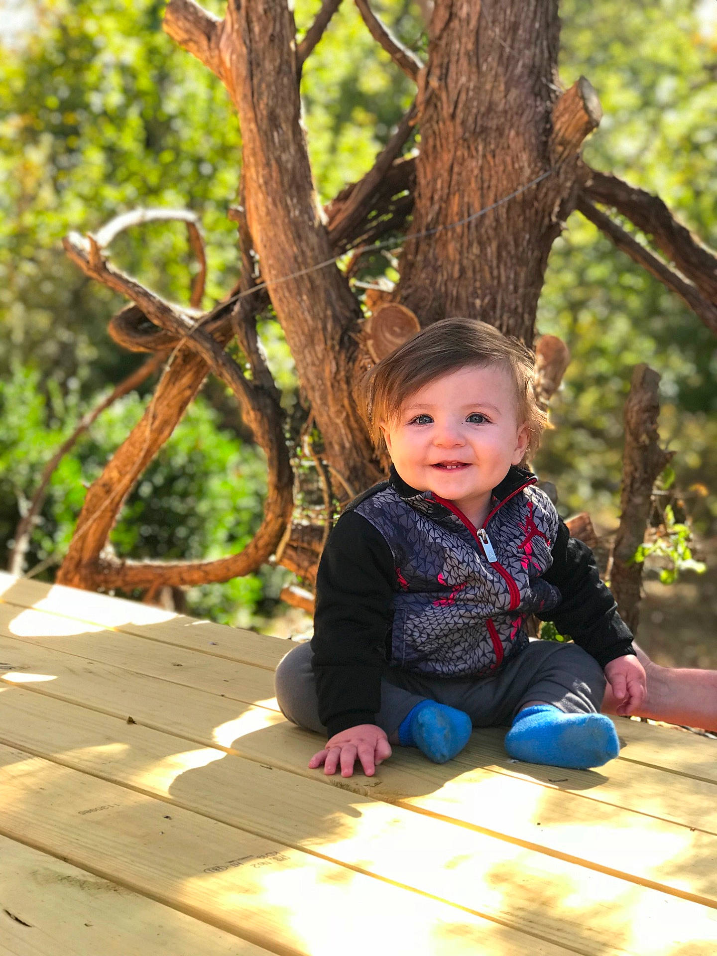 Dorian joined the competition — help win amazing prizes! branch, child, fun, girl, grass, happiness, infant, joy, leisure, people, person, plant, play, portrait_photography, recreation, sitting, smile, toddler, tree, vacation