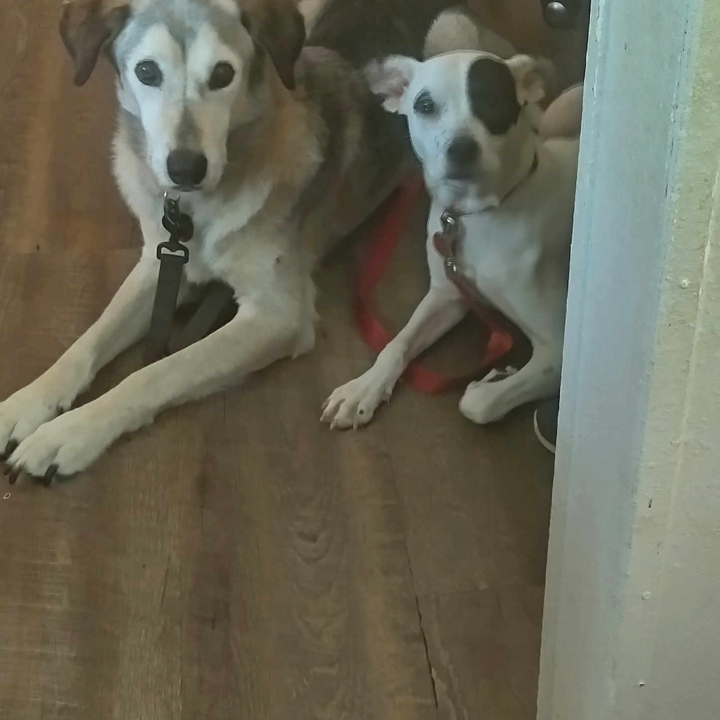 Max And Angel