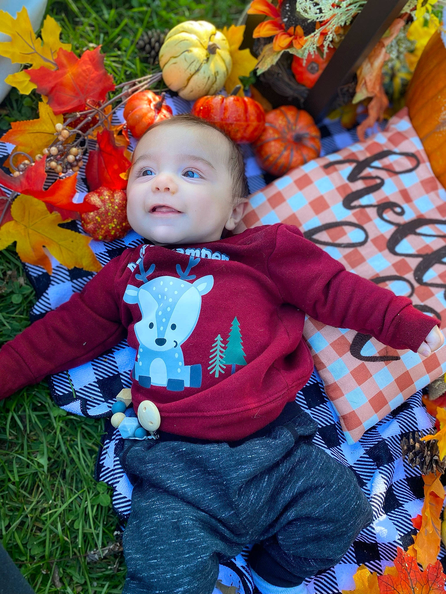 Enrique joined the competition — help win amazing prizes! baby_toddler_clothing, calabaza, child, cucurbita, fun, gourd, grass, happy, leaf, leisure, natural_foods, orange, people_in_nature, person, photograph, plant, pumpkin, squash, toddler, vegetable