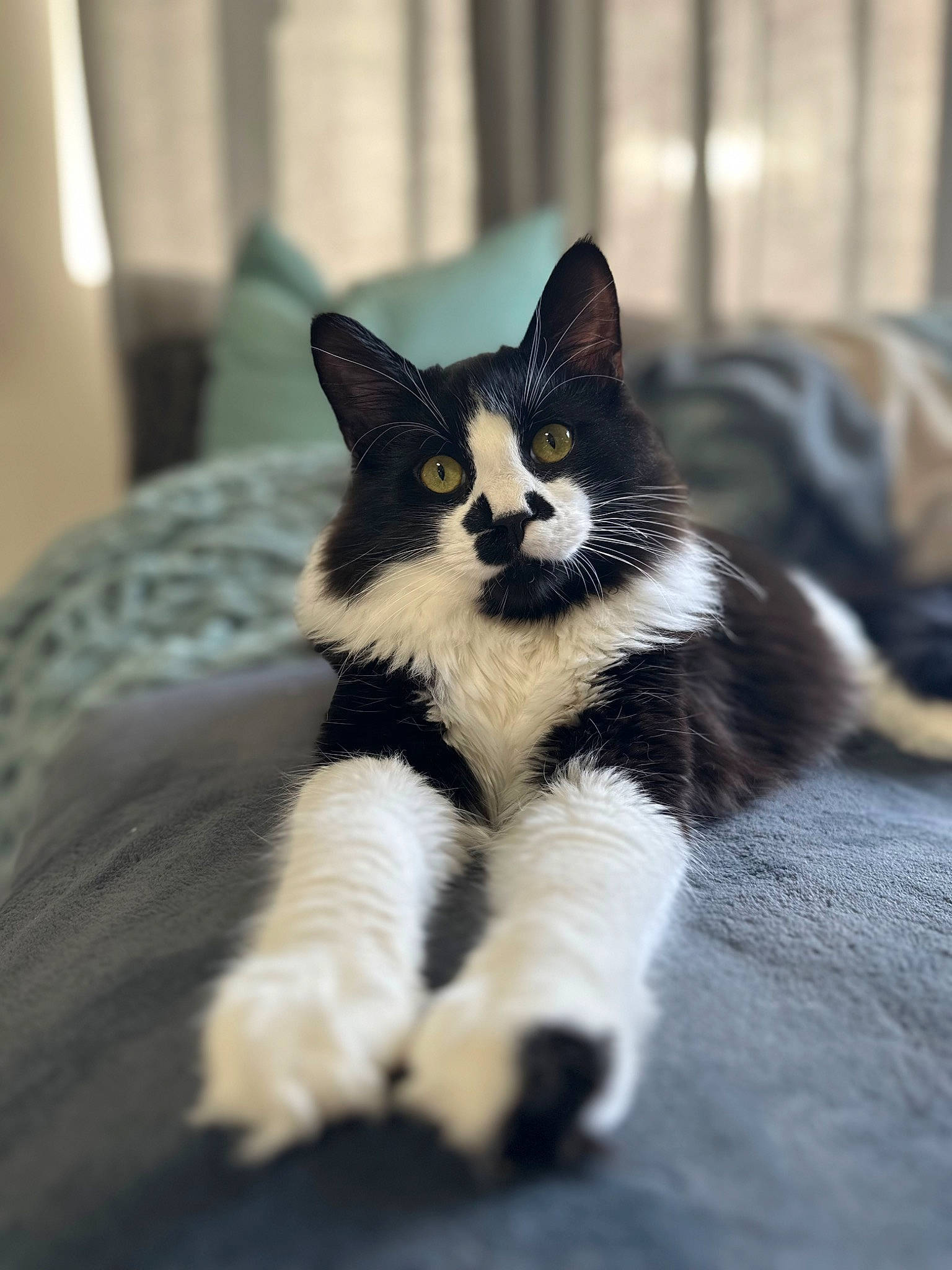 Vader
