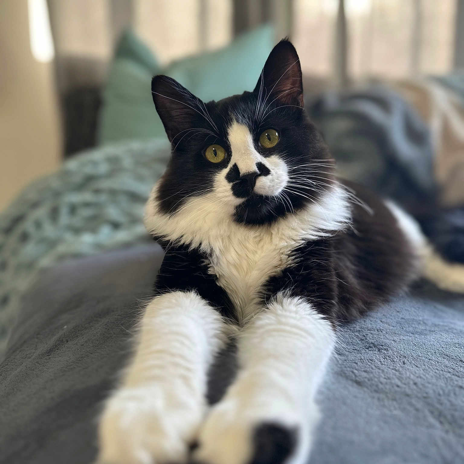 Vader