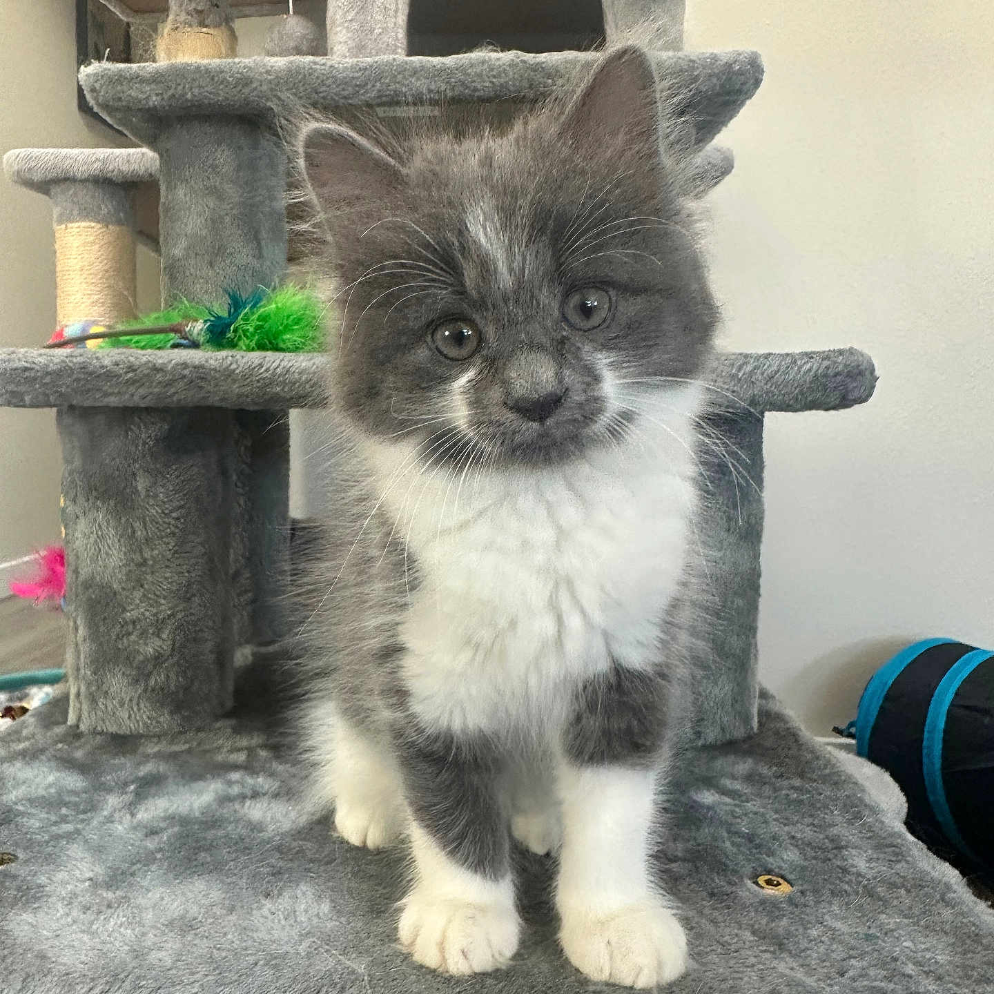 Milo