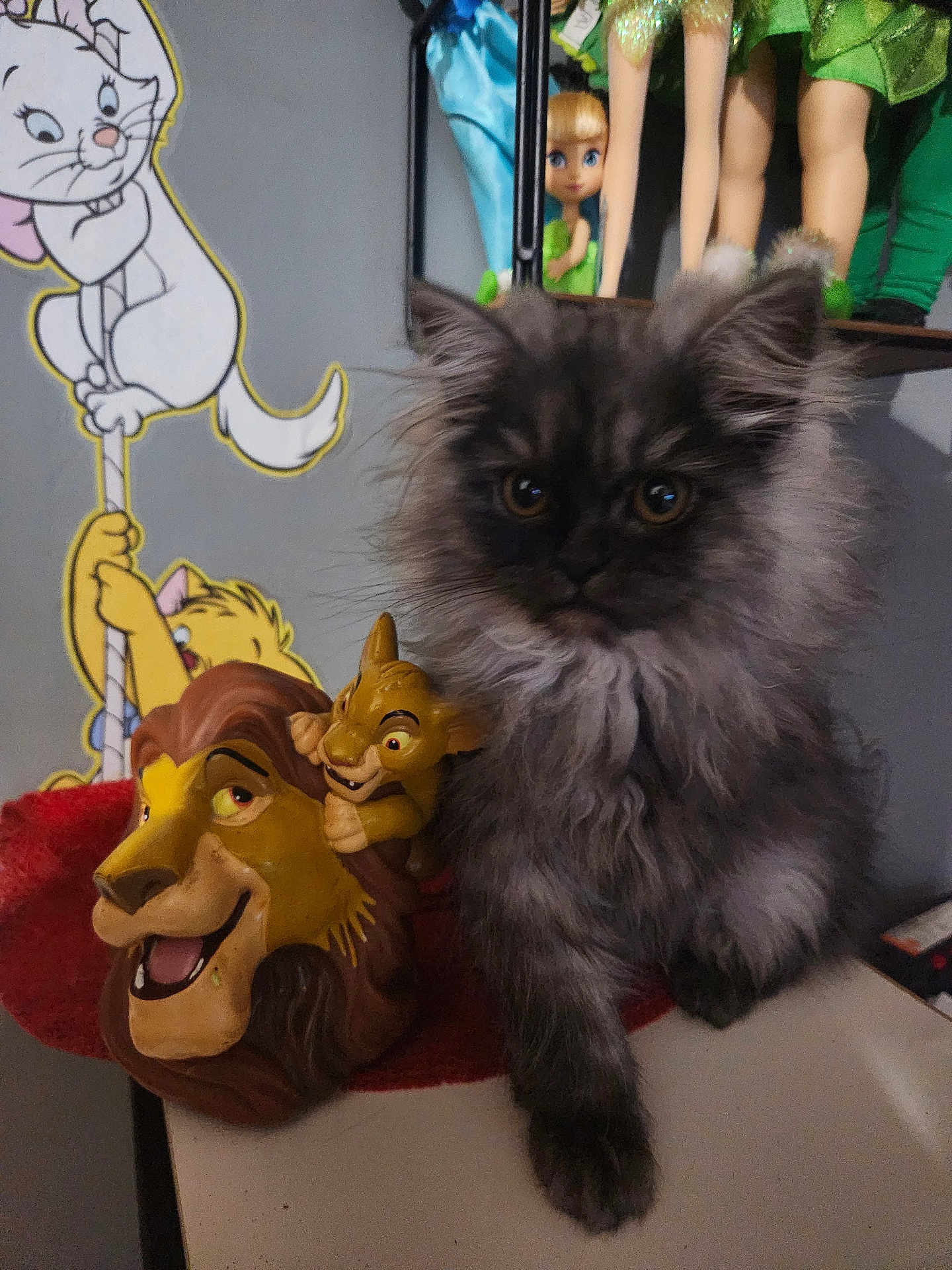 Pinkie participe au concours pour gagner de l'argent avec cette photo : kitten, cat, toy, mask, lion_king, figurine, cartoon, wall_art, shelf, indoor, pet, furry, cute, animal, playful, decor, gray_cat, small, table, closeup