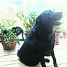 Molly participe au concours pour gagner de l'argent avec cette photo :