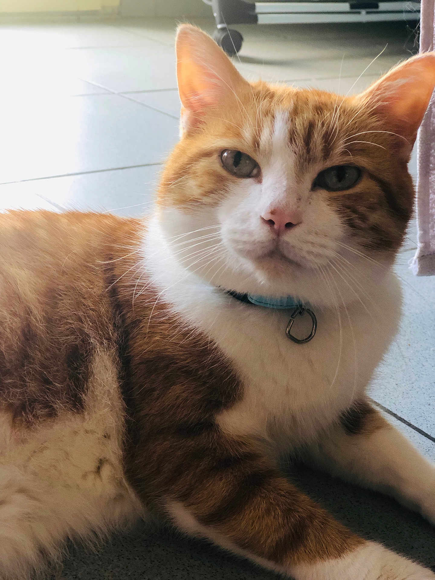 Diego