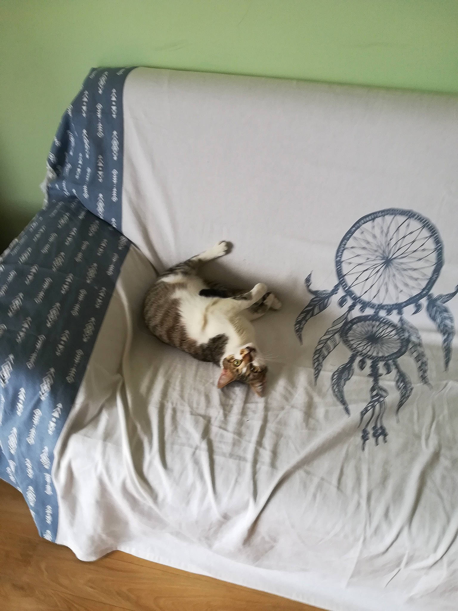 O'Maley participe au concours pour gagner de l'argent avec cette photo : art, bed_sheet, bedding, bedroom, cat, comfort, dishware, felidae, flooring, grey, hardwood, linens, pattern, rectangle, room, serveware, sleeve, tableware, throw_pillow, wood