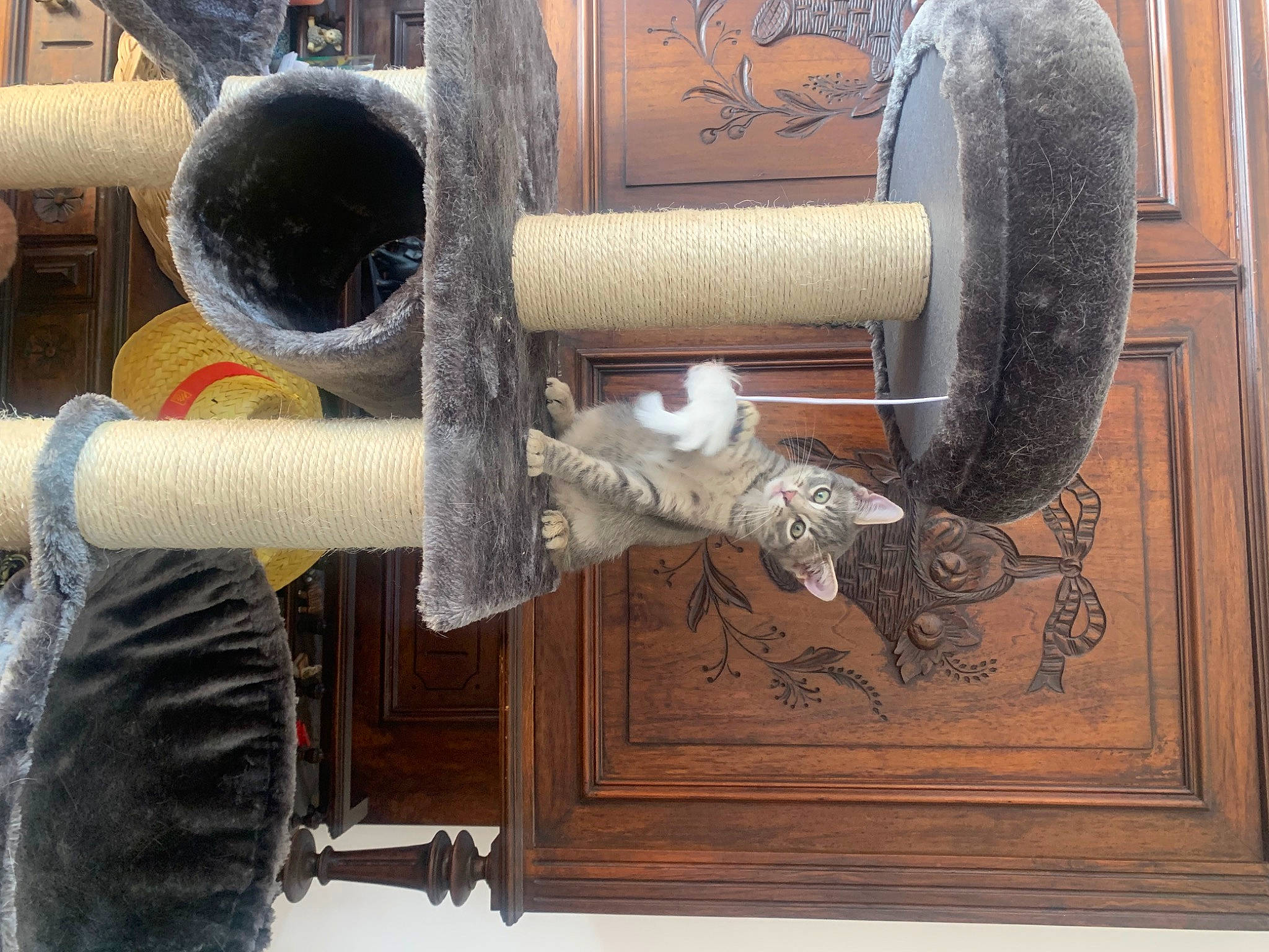 Sami a rejoint le concours — aidez-le/la à gagner de superbes lots ! auto_part, automotive_tire, automotive_wheel_system, bicycle_tire, gas, hardwood, metal, motor_vehicle, rim, shelf, spinning, synthetic_rubber, textile, tire, tire_care, tread, wheel, wood, wood_stain, wool