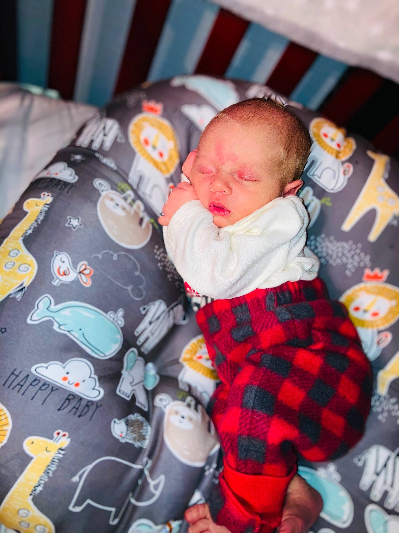 Tommy joined the competition — help win amazing prizes! baby, baby_products, baby_safety, baby_sleeping, baby_toddler_clothing, baby_toys, bed, bedtime, camouflage, child, comfort, infant_bed, linens, nursery, person, plaid, product, sleep, sock, tartan