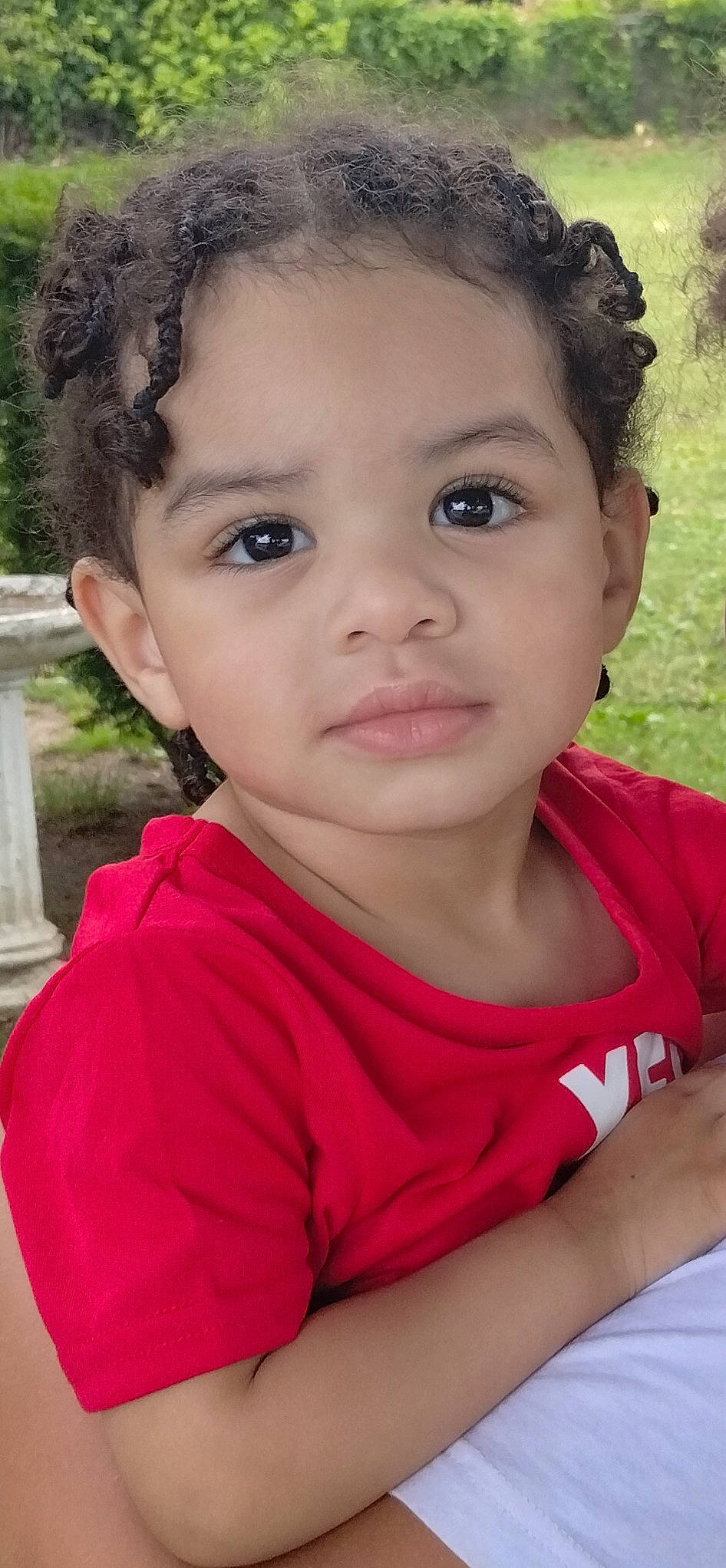 Carlos joined the competition — help win amazing prizes! cheek, chin, ear, eye, eyebrow, eyelash, forehead, grass, hair, happy, head, iris, jaw, lip, mouth, neck, nose, people_in_nature, person, plant