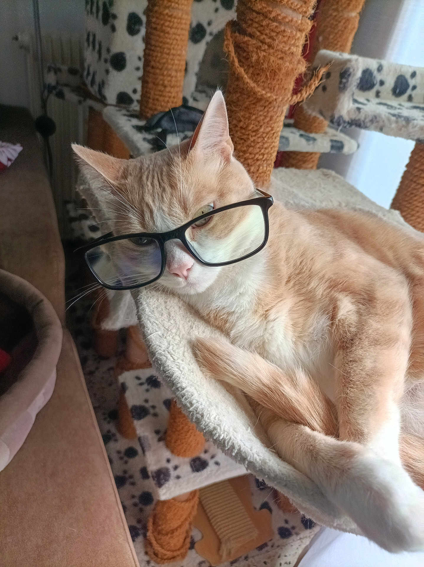 Garfield