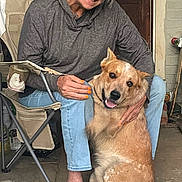 Hank is registered to the contest to win money with this photo: woman, dog, pet, smiling, sitting, folding_chair, porch, casual_clothing, gray_hoodie, light_blue_jeans, sneakers, orange_nail_polish, happy_dog, tongue_out, wooden_door, brick_wall, concrete_floor, indoor, affection, human_animal_interaction