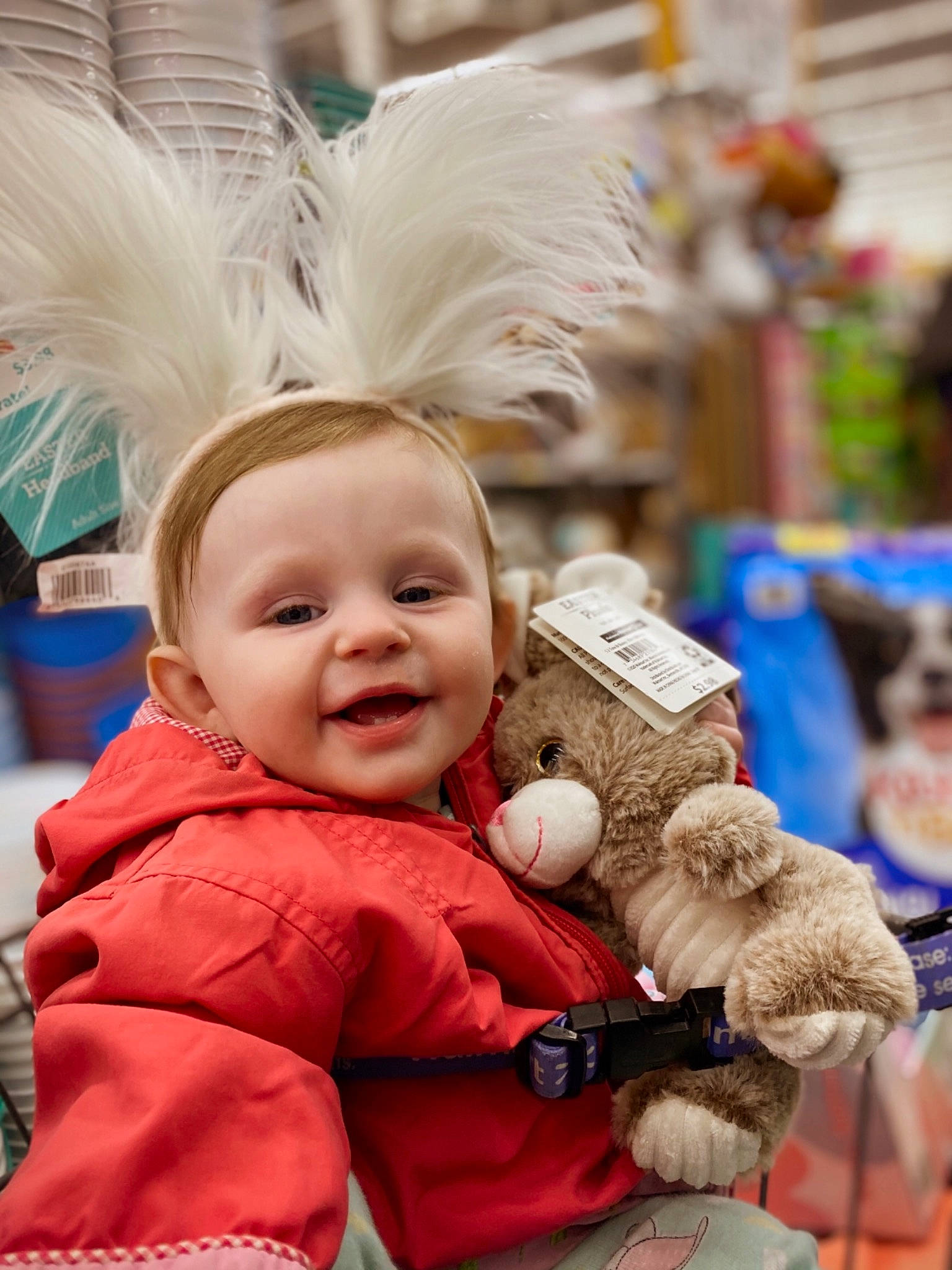 Violet is registered to the contest to win money with this photo: baby, child, costume, event, eye, fun, fur, glove, happy, headgear, people, person, photograph, skin, smile, snapshot, textile, toddler, toy, tradition