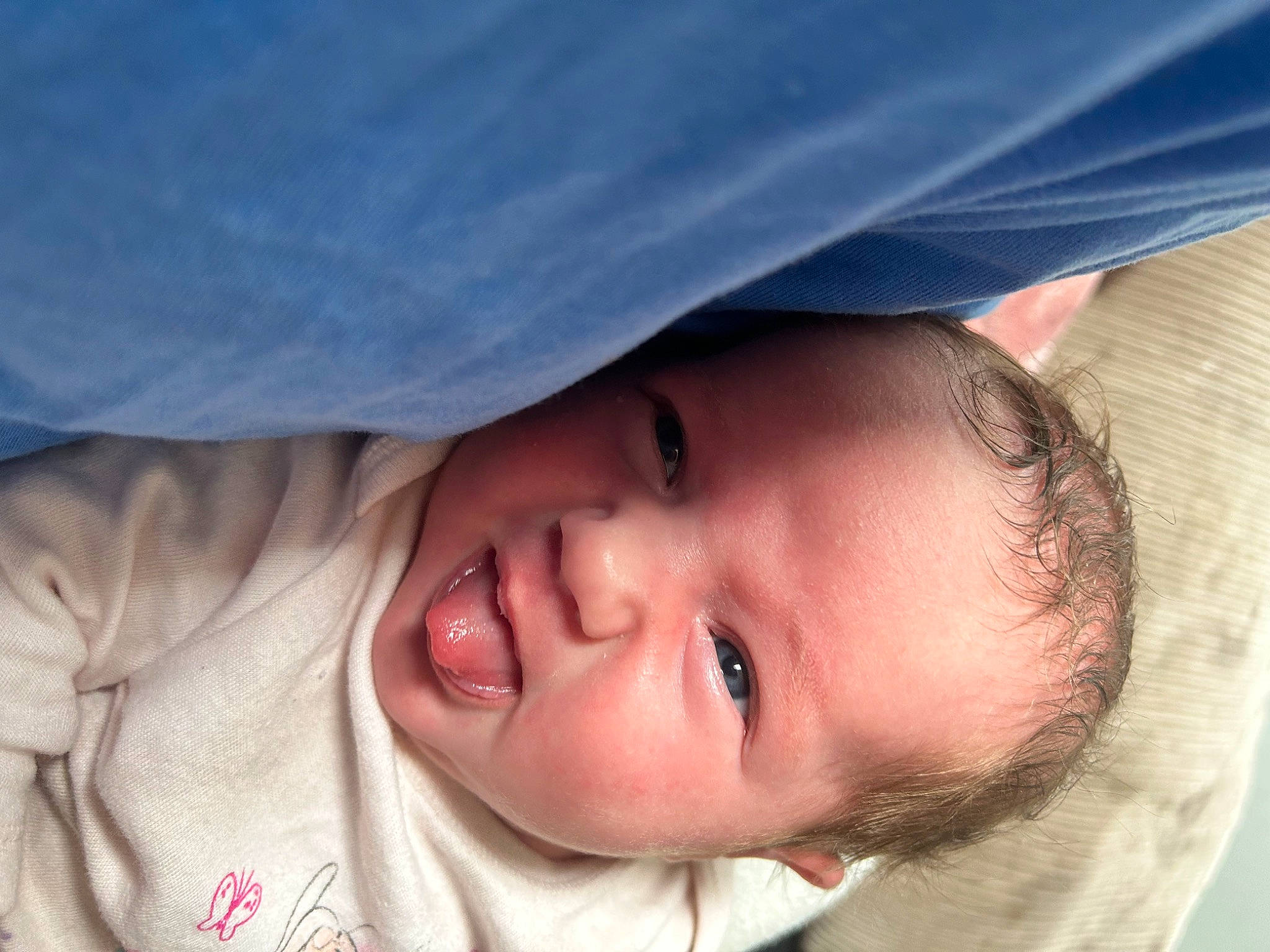 Nellie joined the competition — help win amazing prizes! baby, cheek, chin, comfort, eye, eyebrow, eyelash, face, finger, forehead, iris, lip, mouth, neck, nose, person, plant, skin, sleeve, smile