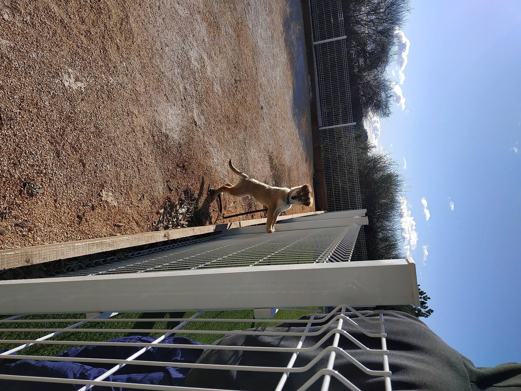 Orso a rejoint le concours — aidez-le/la à gagner de superbes lots ! architecture, building, composite_material, daytime, facade, house, landscape, line, mesh, metal, roof, shadow, sky, slope, stairs, tower, urban_design, water, window, wood