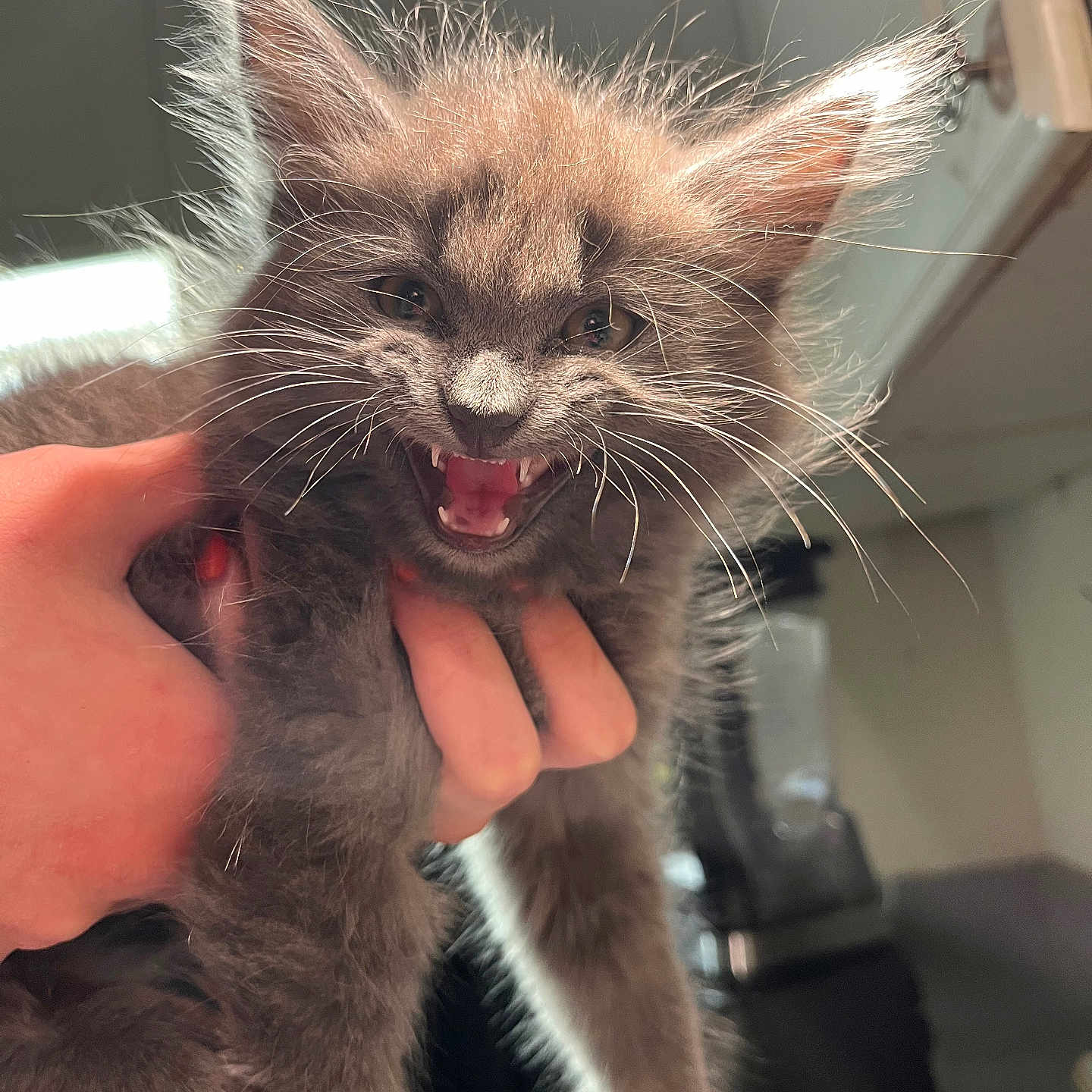 Binx