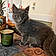Binx