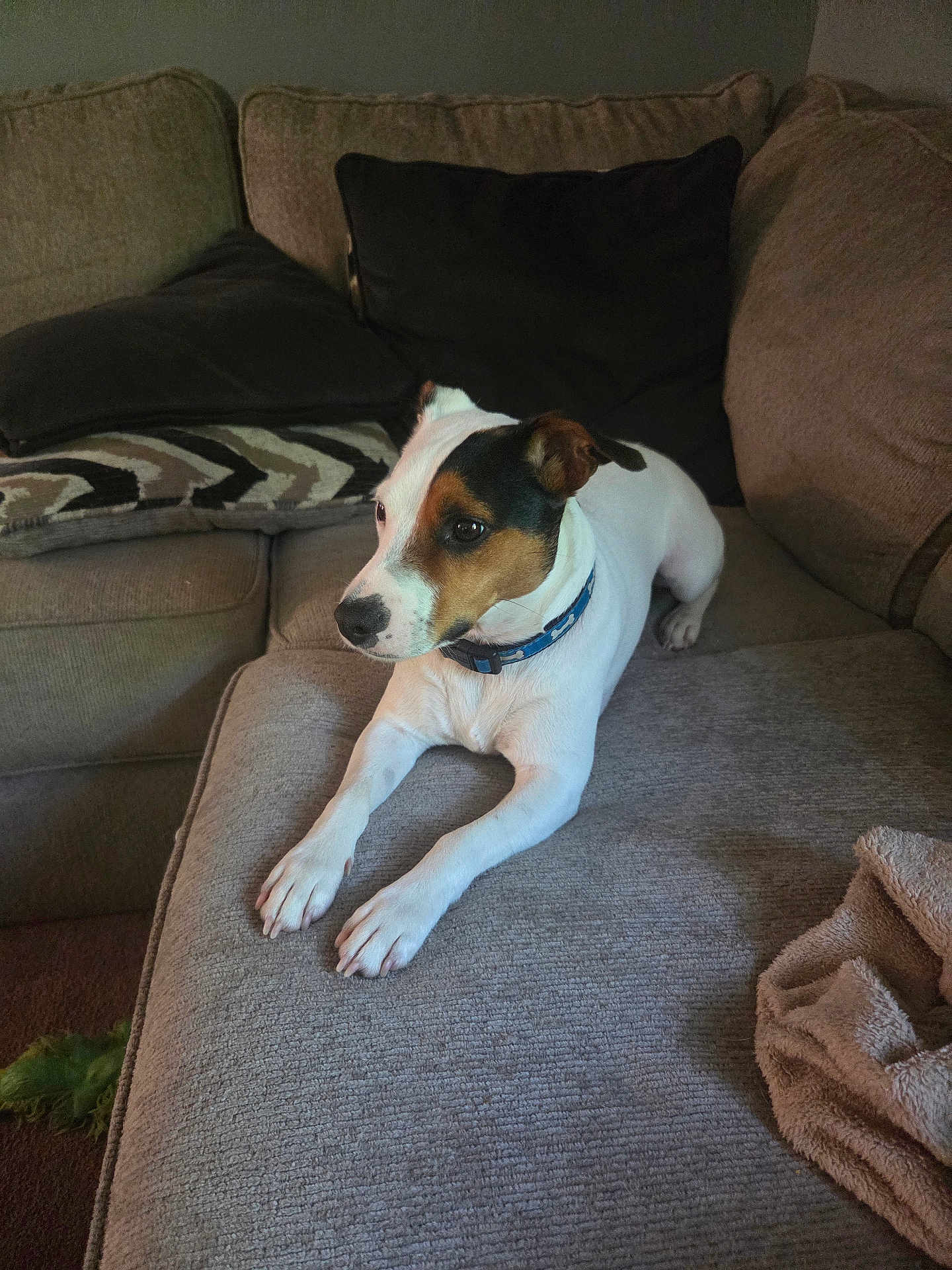 Jax