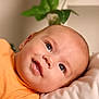 baby, infant, smiling, face, eyes, orange_shirt, blanket, lying_down, closeup, skin, head, soft_lighting, indoors, plant, background_blur, child, cute, portrait, young, happy