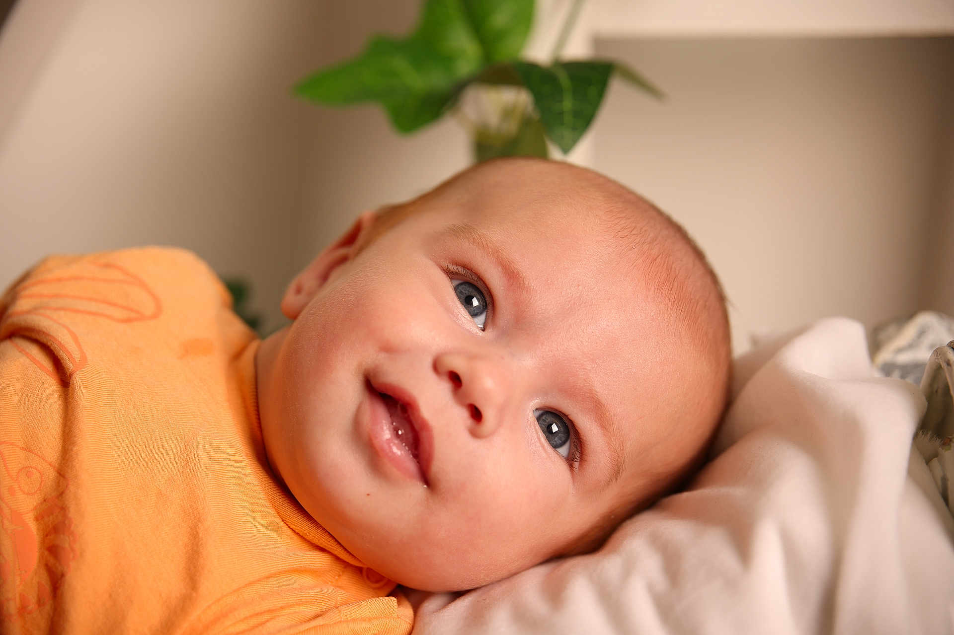 Louka a rejoint le concours — aidez-le/la à gagner de superbes lots ! baby, infant, smiling, face, eyes, orange_shirt, blanket, lying_down, closeup, skin, head, soft_lighting, indoors, plant, background_blur, child, cute, portrait, young, happy