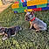 Penny And Paco