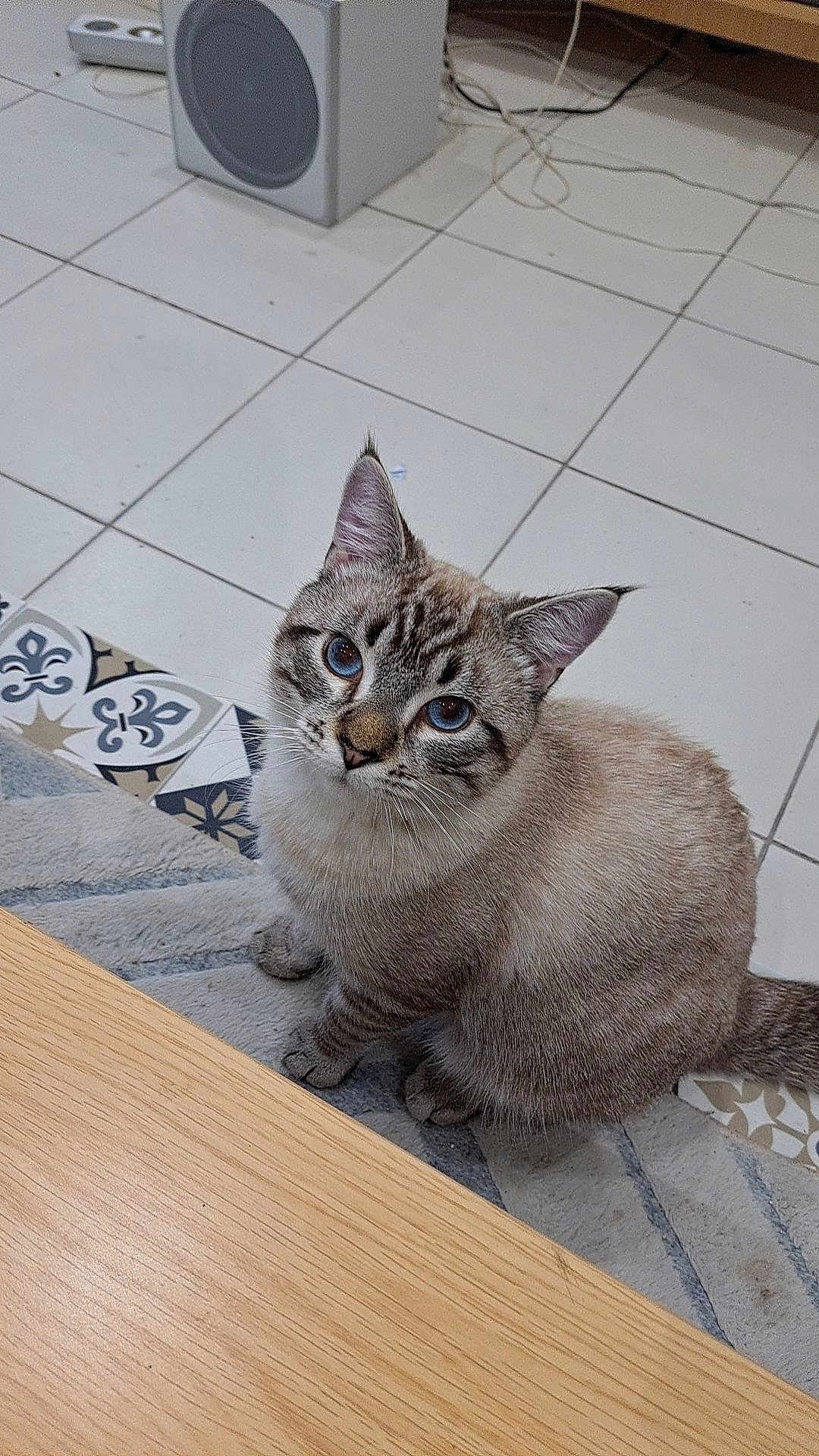 Eliott