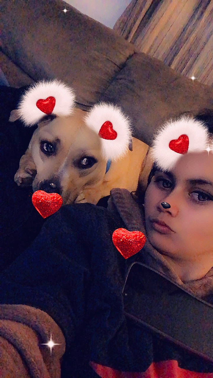 Georgia joined the competition — help win amazing prizes! cap, carmine, companion_dog, dog, dog_breed, eye, fashion_accessory, fawn, flesh, flooring, fun, fur, fur_clothing, happy, lipstick, mammal, plush, selfie, stuffed_toy, toy